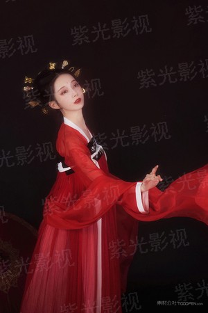 新网球王子OVAvsGenius10